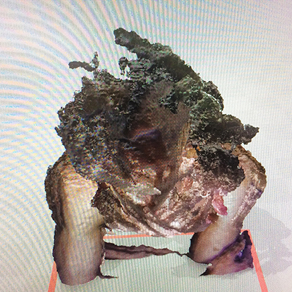 Interrupted 3D scan by artist Paul Coombs